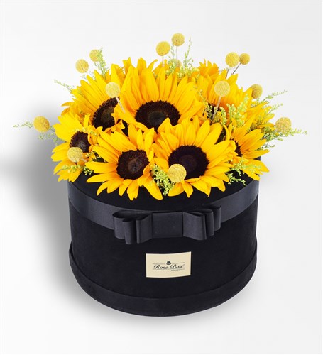 Bumble Bee Xl