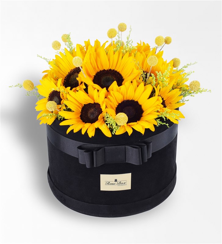 Bumble Bee Xl
