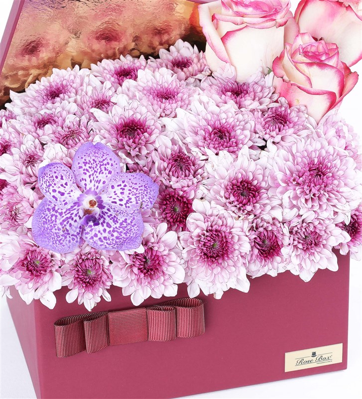 Bordo Kutuda Pembe Papatya Ve Vanda Mor Orkide Xl