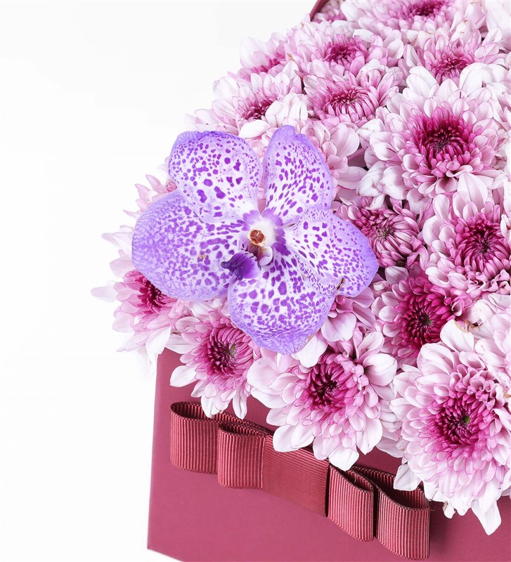 Bordo Kutuda Pembe Papatya Ve Vanda Mor Orkide Xl