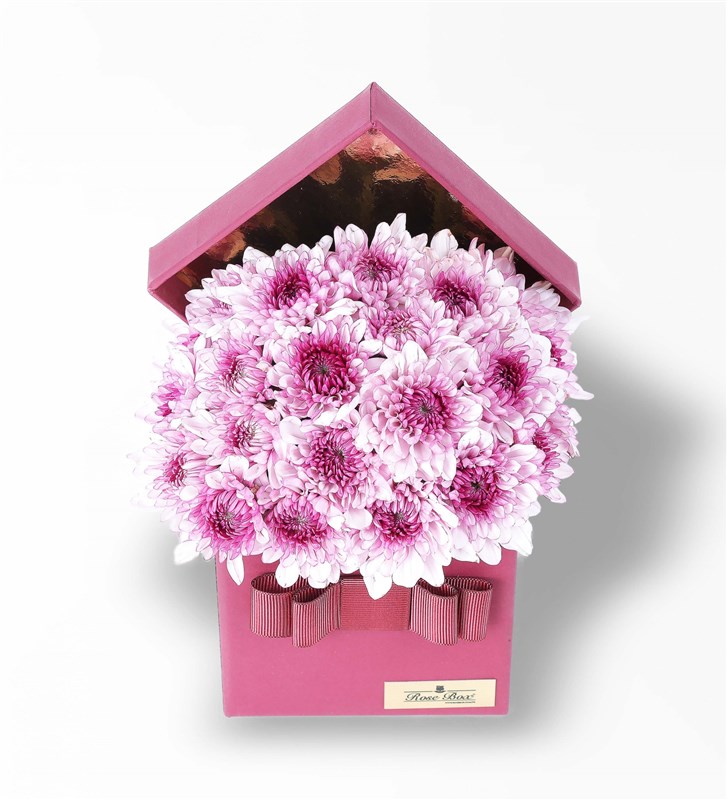 Bordo Kutuda Pembe Papatyalar