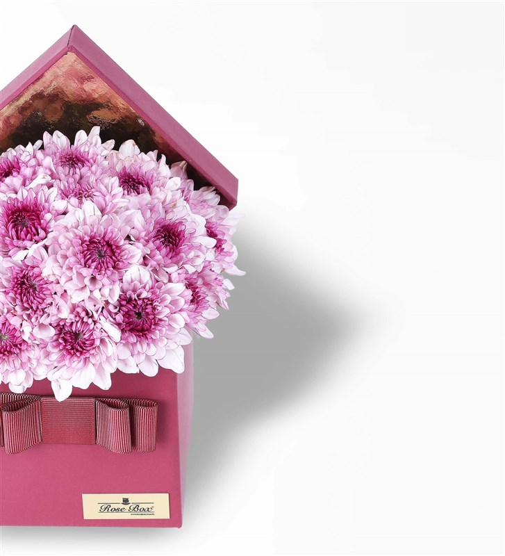 Bordo Kutuda Pembe Papatyalar