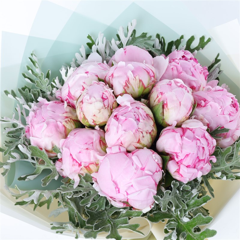 Su Yeşili Mat Selefon Ambalajında Pembe Şakayık Buketi
