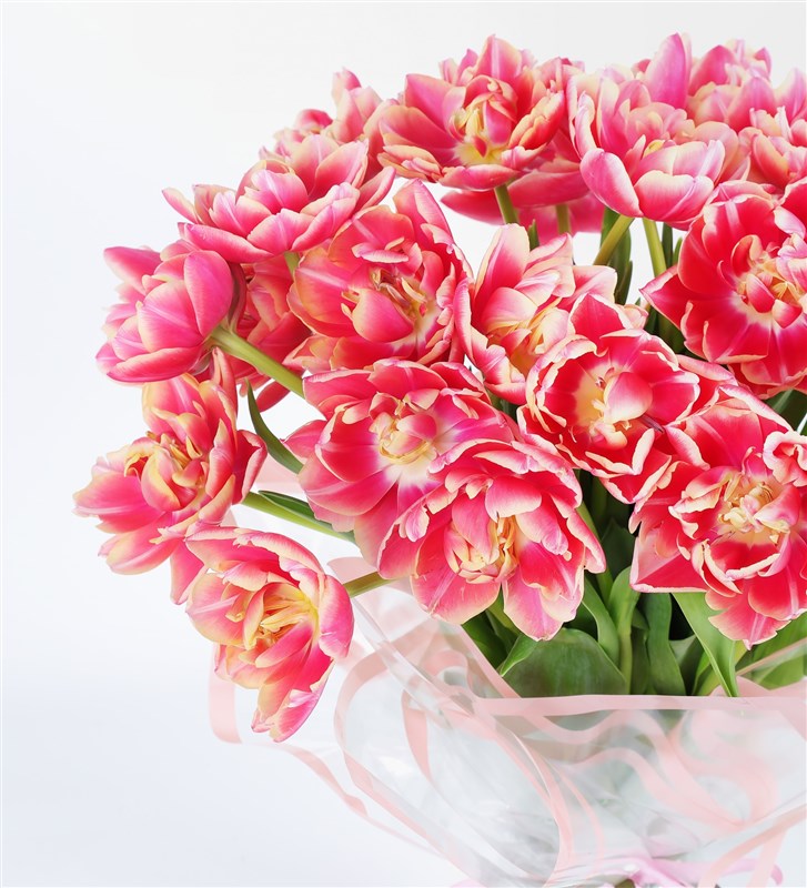 30 Adet Pembe Lale Buketi