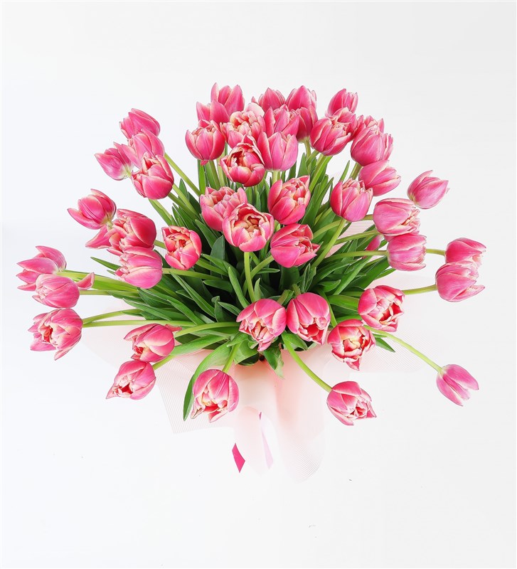 50 Adet Pembe Lale Buketi