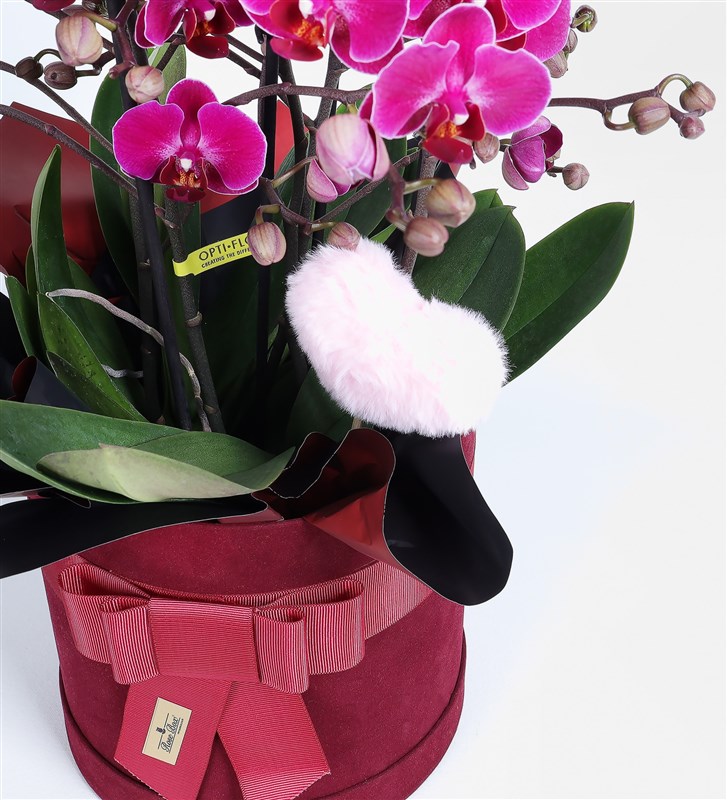 Bordo Kutuda Mor Bougetto Orkide Ve Peluş Pembe Kalp