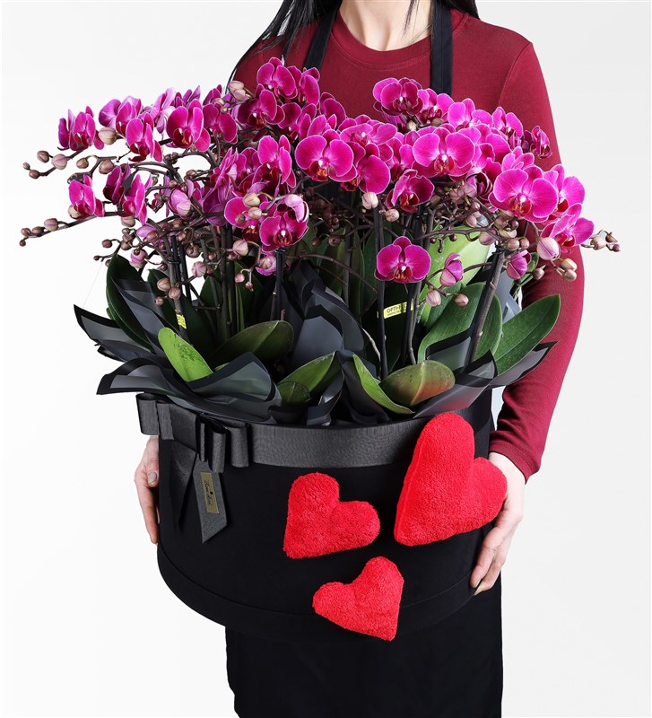 Peluş Kalpli Dev Kutuda 20 Dallı Mor Bellisimo Orkide Sevgililer Günü Özel Seri