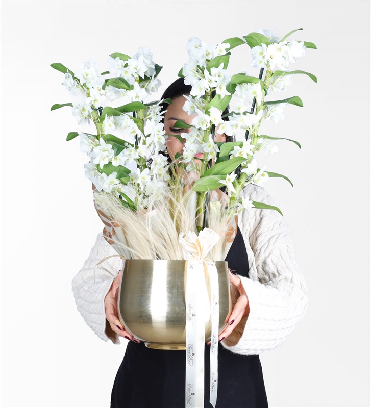 Gold Metal Saksıda 4 Dallı Bambu Orkide (Dendrobium) Aranjmanı