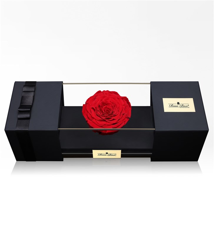 Kırmızı Büyük Solmayan Gül