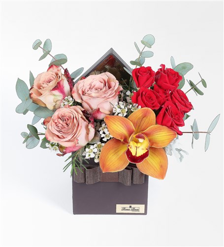Capucino Gül, Cybidium Orkide ve Çardak Güler