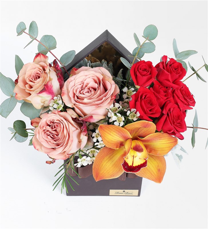 Capucino Gül, Cybidium Orkide ve Çardak Güler