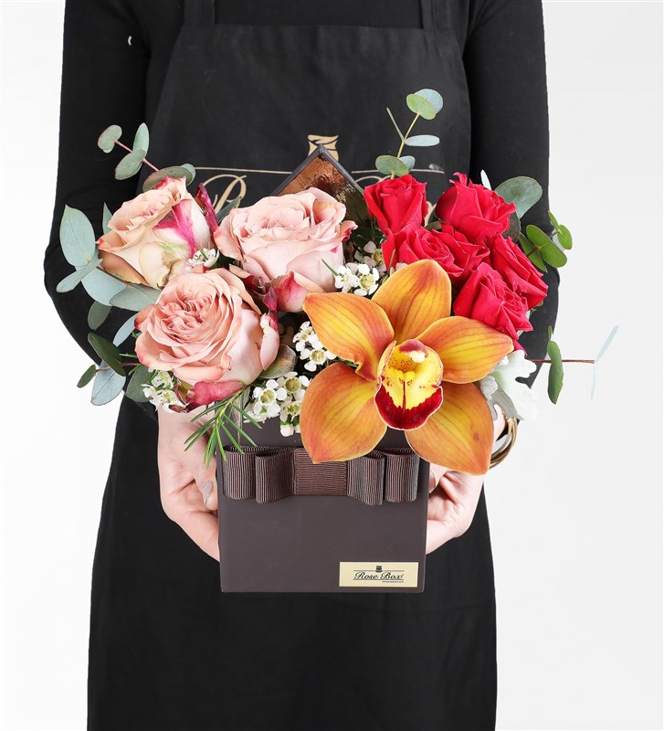 Capucino Gül, Cybidium Orkide ve Çardak Güler