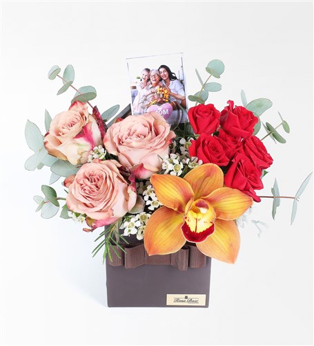 Fotoğraflı Anneler Günü Çiçeği Capucino Gül, Cybidium Orkide ve Çardak Güler
