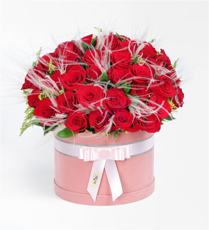 Pembe Kadife Kutuda 41 Kırmızı Gül ve Pembe Stipa