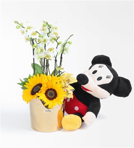 Mickey ve Ayçiçekli Beyaz Bougetto Orkide