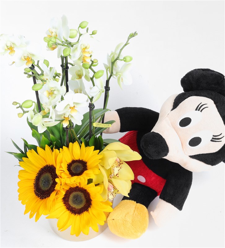 Mickey ve Ayçiçekli Beyaz Bougetto Orkide