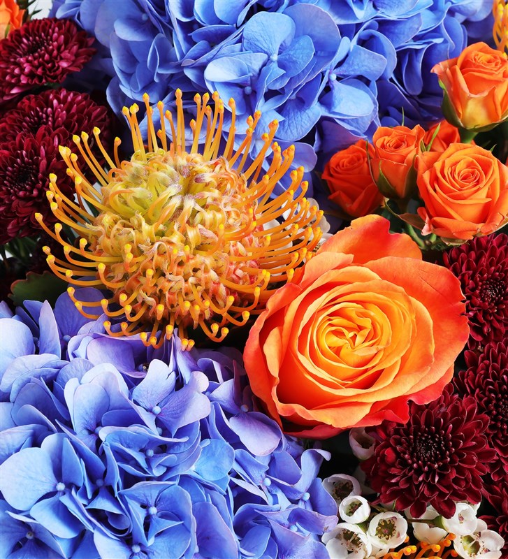 Wild Bloom XL In Box - Büyük Boy Kutuda Mavi Ortanca, Lecuspermum, Turuncu Ekvator Gülleri, Galaksi Lale ve Prupetta Red Santini