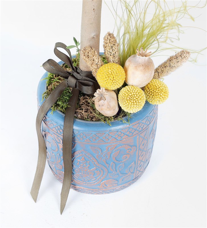Antik Vazoda Bonsai Zeytin Ağacı Aranjmanı