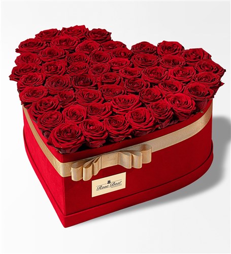 Kiss Of Love XL - Dev Kırmızı Kadife Kutuda Kırmızı Güller
