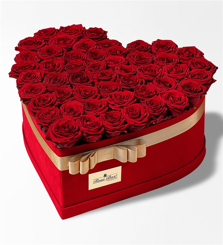 Kiss Of Love XL - Dev Kırmızı Kadife Kutuda Kırmızı Güller