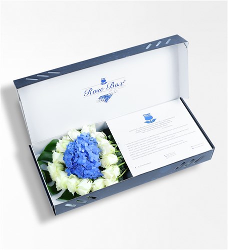 Sapphire - Mavi Ortanca Ve Beyaz Güller