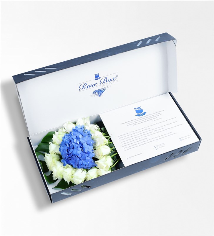 Sapphire - Mavi Ortanca Ve Beyaz Güller