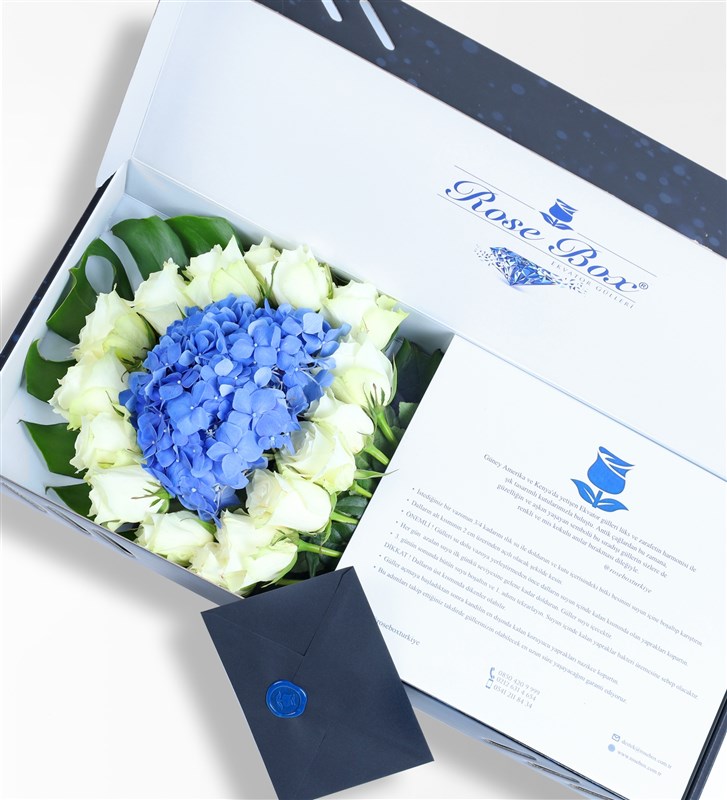 Sapphire - Mavi Ortanca Ve Beyaz Güller