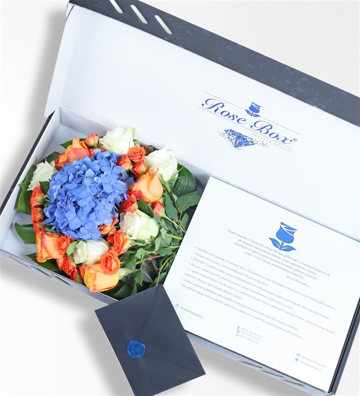 Sapphire - Mavi Ortanca Ve Turuncu Beyaz Güller