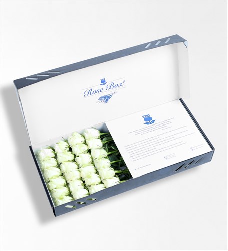 Sapphire Kutuda 24 Adet Beyaz Gül