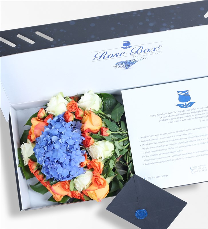 Sapphire - Mavi Ortanca Ve Turuncu Beyaz Güller