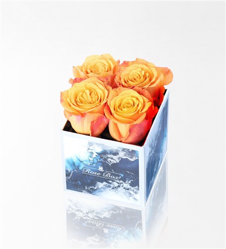 Aquamarin Mini Kutuda&nbsp;4'Lü Turuncu Gül