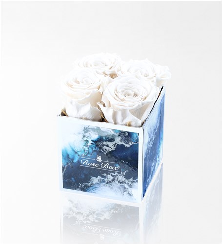 Aquamarin - 4'Lü Beyaz Solmayan Gül