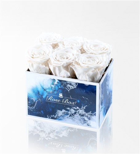 Aquamarin - 6'Lı Beyaz Solmayan Gül