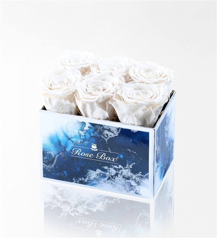 Aquamarin - 6'Lı Beyaz Solmayan Gül