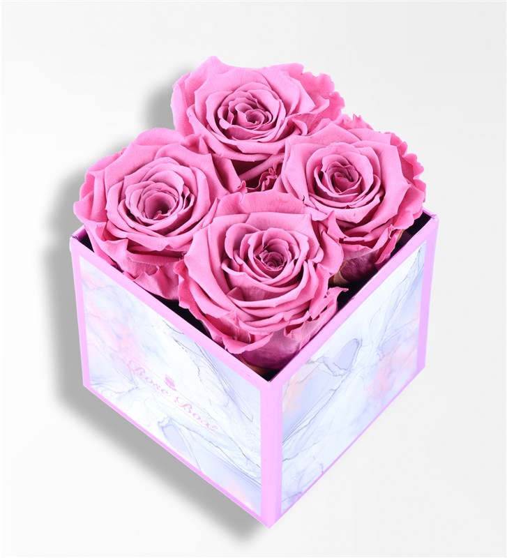 Rose Quartz - 4'Lü Pembe Solmayan Gül