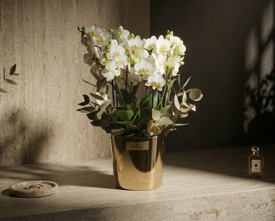 collection-img