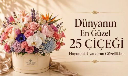 Dünyanın En Güzel 25 Çiçeği: Hayranlık Uyandıran Güzellikler